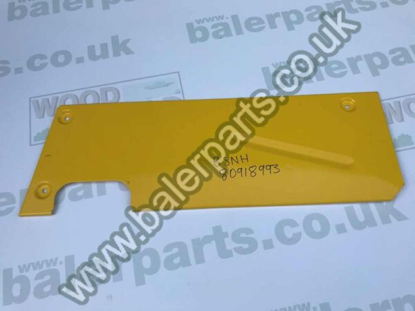 New Holland Plunger Side Plate_x000D_n_x000D_nEquivalent to OEM: 80918993 80724148_x000D_n_x000D_nSpare part will fit - 377